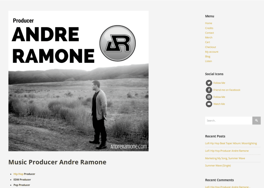 Andre Ramone website 2017